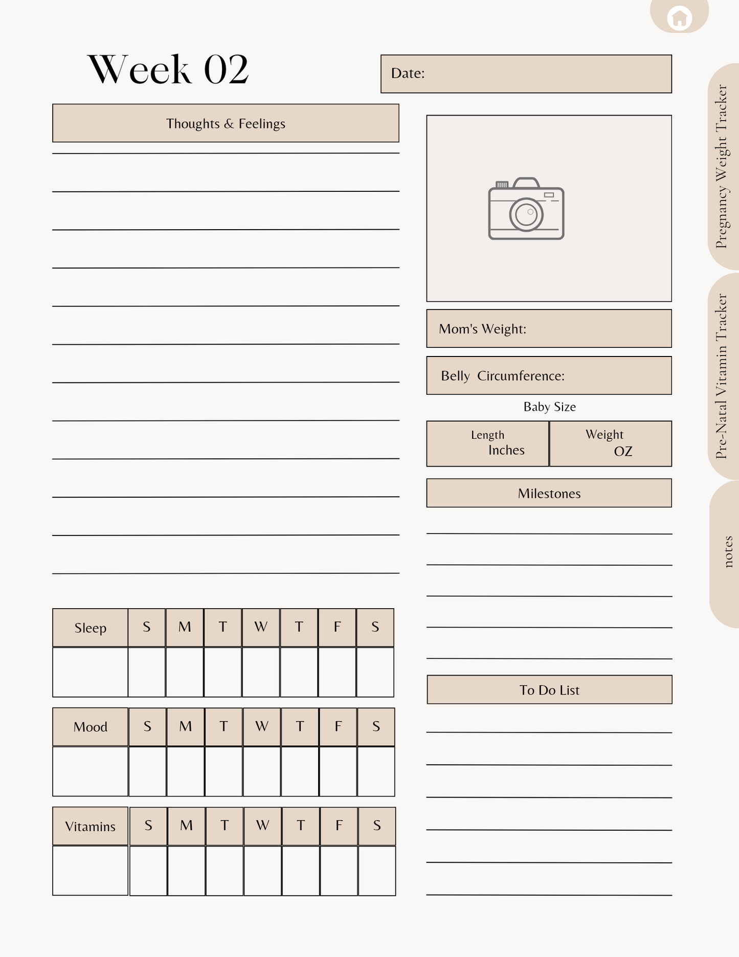 Pregnancy Journal
